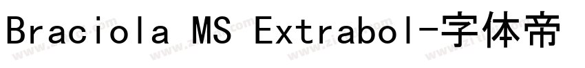 Braciola MS Extrabol字体转换